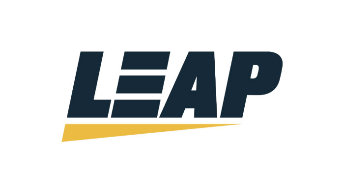 Leap Gaming（リープ・ゲーミング）