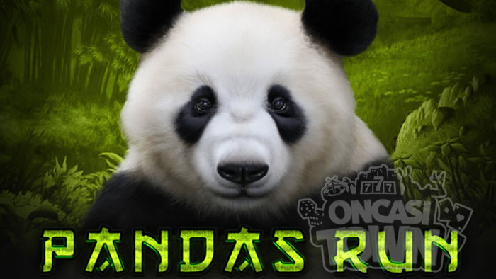 Pandas Run（パンダズ・ラン）