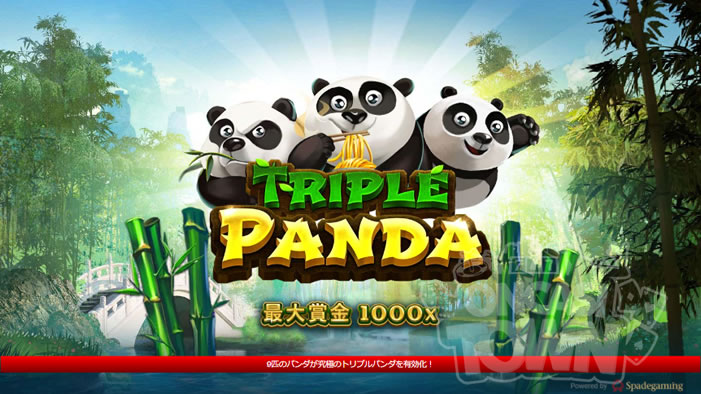 Triple Panda（トリプル・パンダ）