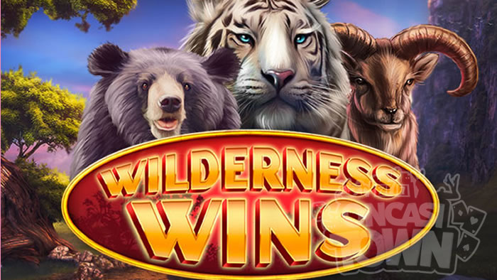Wilderness Wins（ウィルダネス・ウィンズ）
