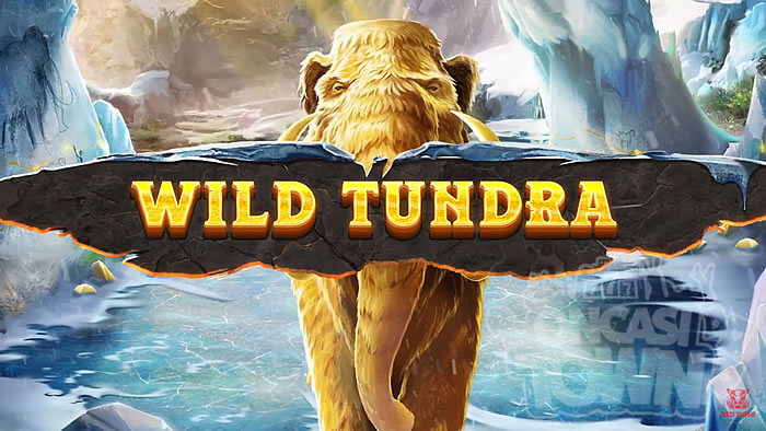 Wild Tundra（ワイルド・ツンドラ）