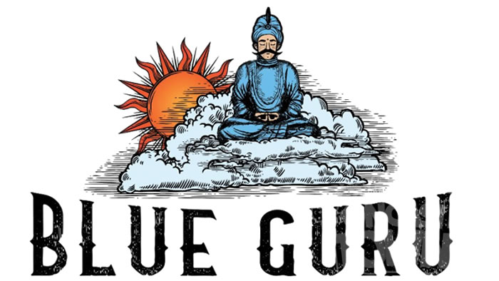 Blue GuruがLeoVegasの投資部門の一部として米国市場に進出