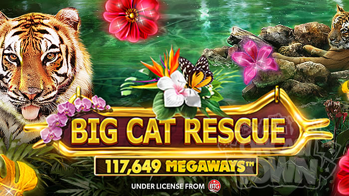 Big Cat Rescue MegaWays（ビッグ・キャット・レスキュー・メガウェイズ）