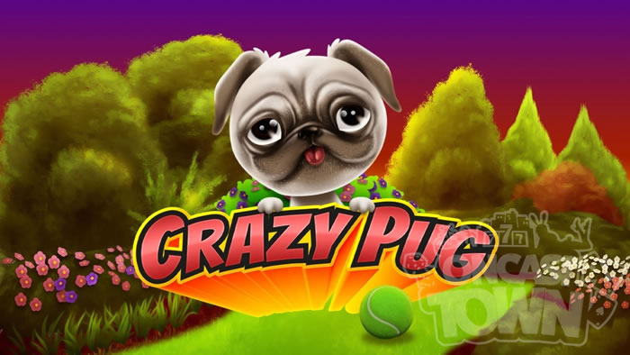 Crazy Pug（クレイジー・パグ）