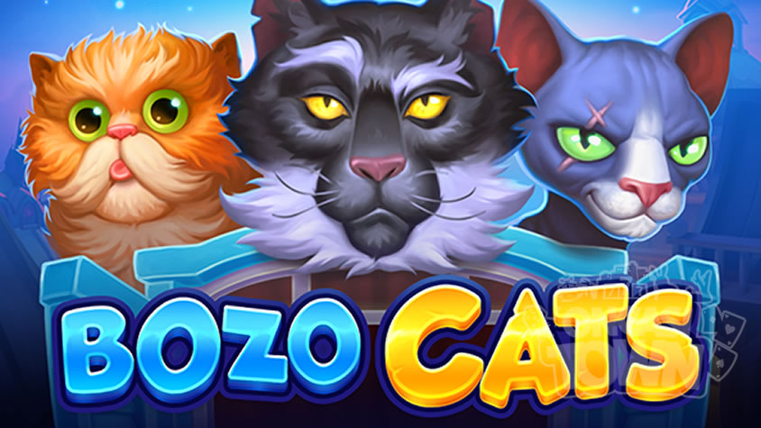Bozo Cats（ボゾ・キャッツ）
