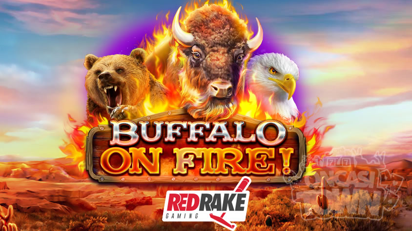 Buffalo on Fire（バッファロー・オン・ファイア）