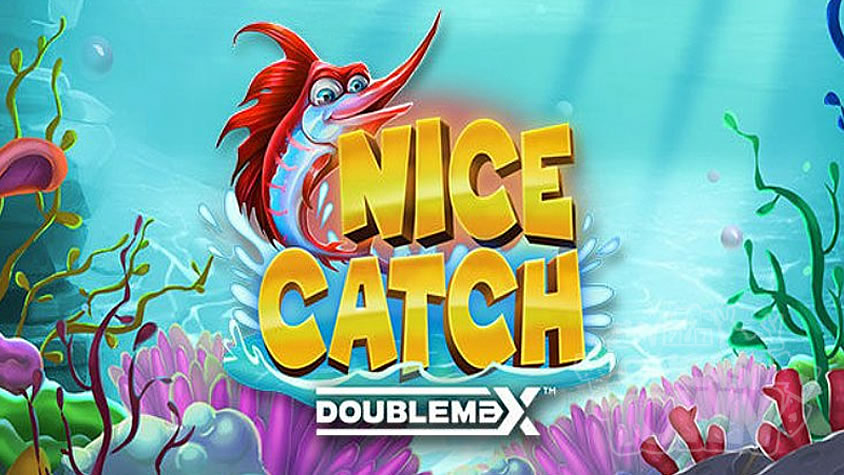 Nice Catch DoubleMax（ナイス・キャッチ・ダブルマックス）