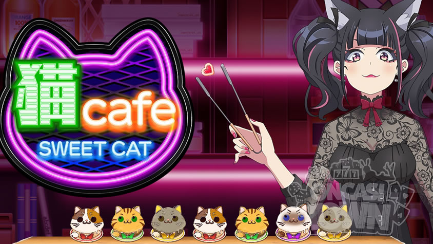 Sweet Cat Cafe（スウィート・キャット・カフェ）
