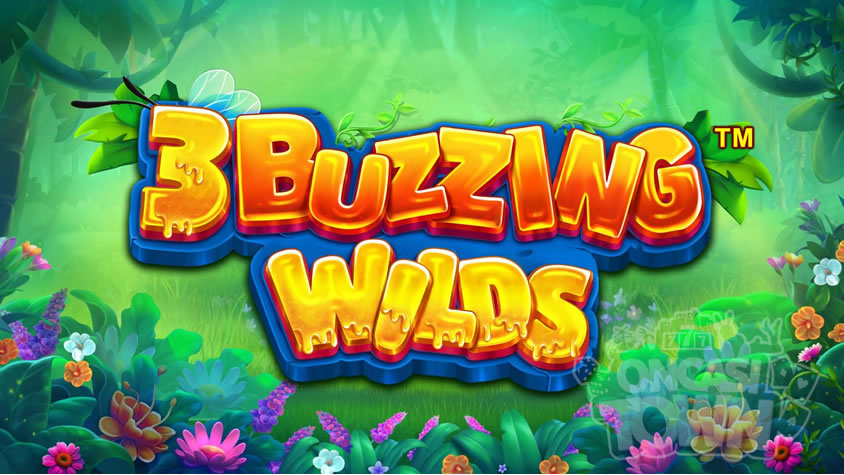 3 Buzzing Wilds（スリー・バジング・ワイルド）
