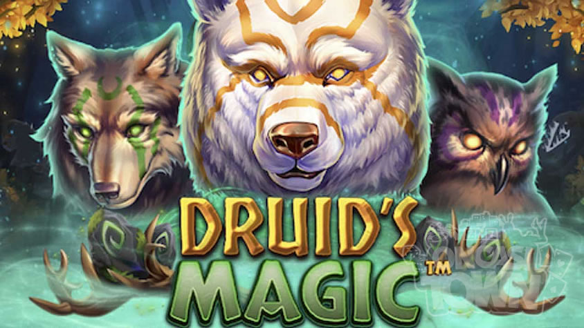 Druid’s Magic（ドルイド・マジック）