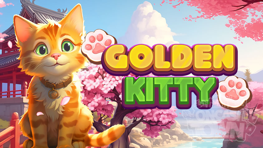 Golden Kitty（ゴールデン・キティ）