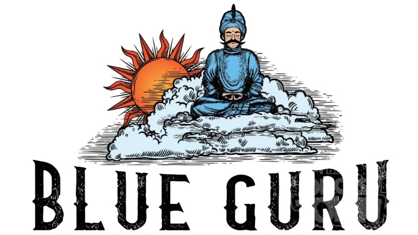 Blue Guru Games（ブルー・グル・ゲームズ）