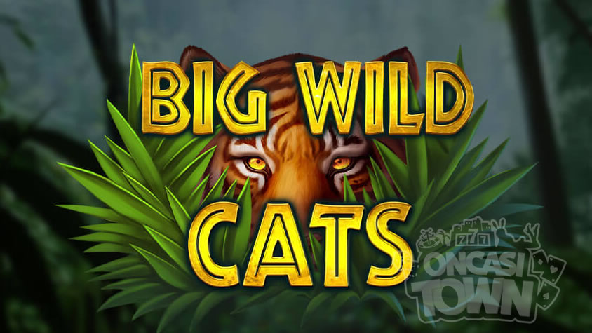 Big Wild Cats（ビッグ・ワイルド・キャット）