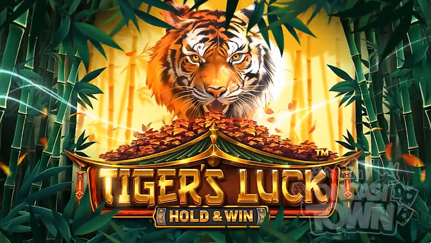 Tiger’s Luck Hold and Win（タイガー・ラック・ホールド・アンド・ウィン）