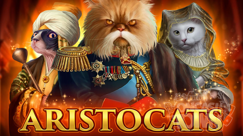 Aristocats（アリストキャッツ）