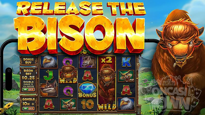 Release the Bison（リリース・ザ・バイソン）