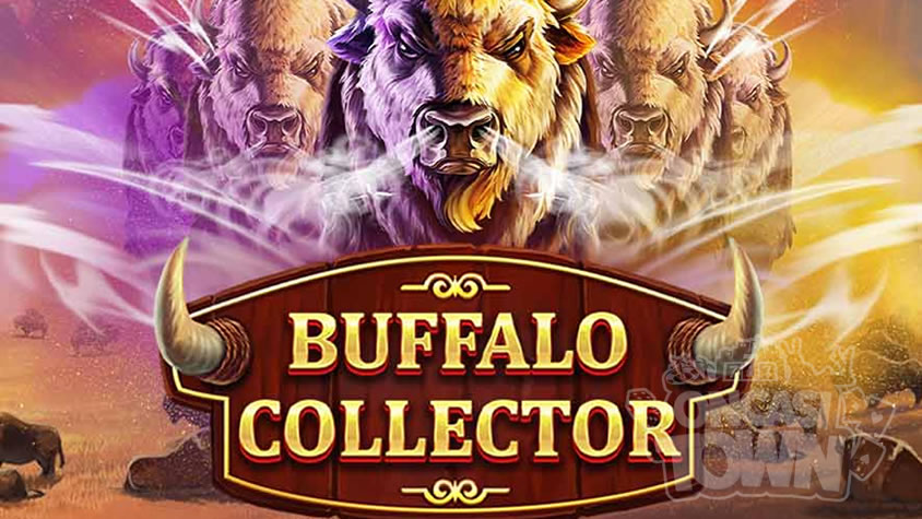Buffalo Collector（バッファロー・コレクター）