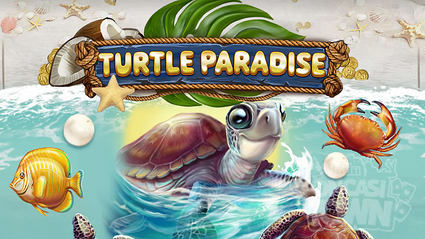 Turtle Paradise（タートル・パラダイス）